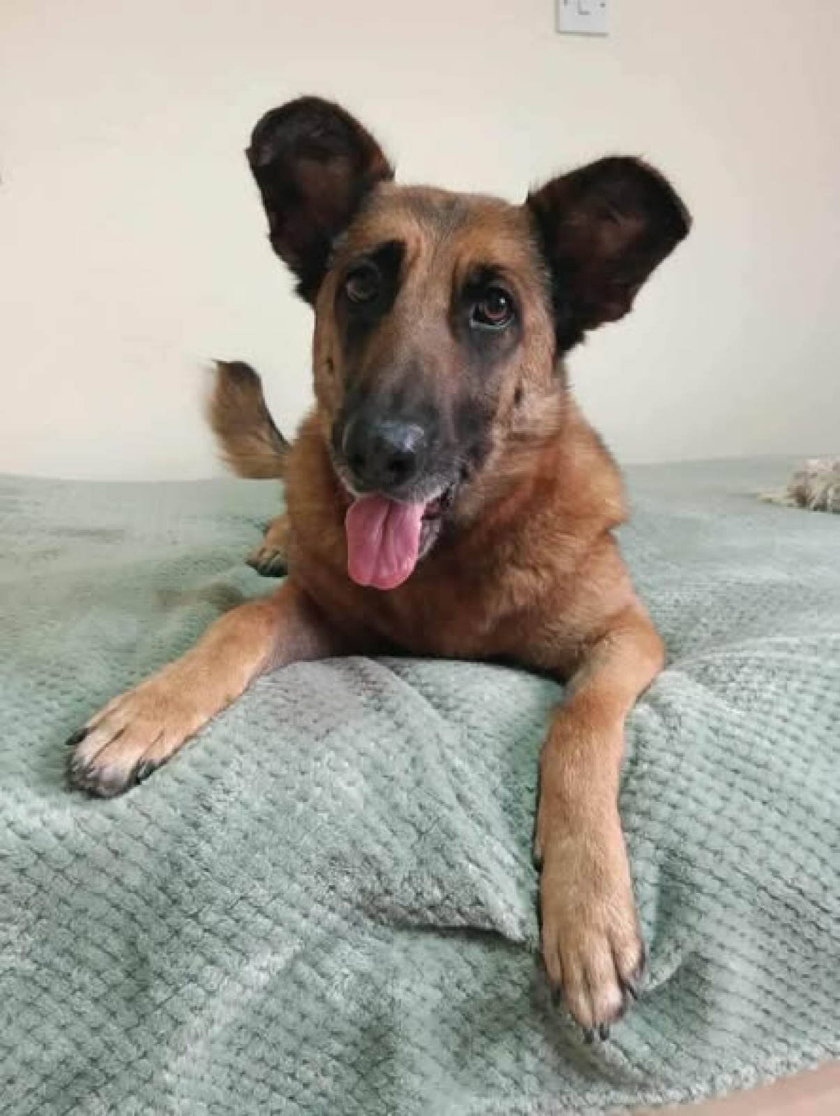 Ronja